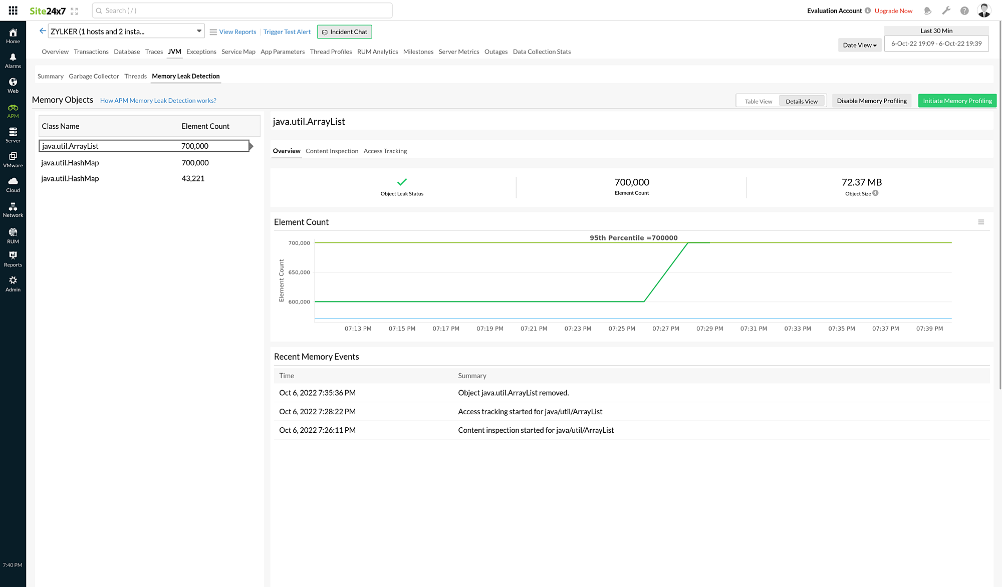 Overview tab of memory leak detection